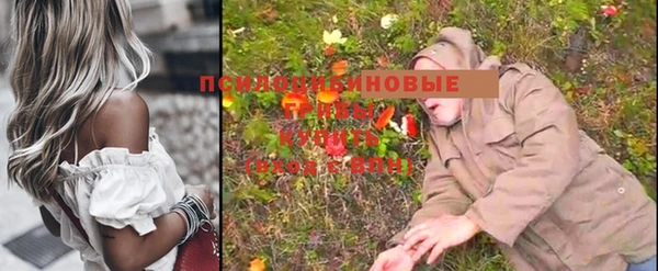 винт Михайловка