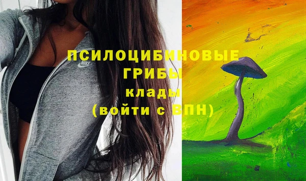 винт Михайловка