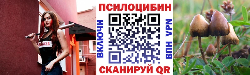 Псилоцибиновые грибы мухоморы  Купить закладки  Томари 