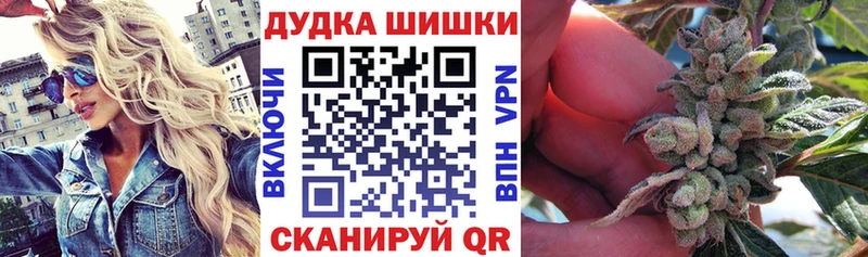 Марихуана сатива  Купить где  Томари 